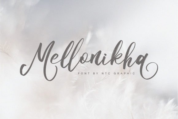 Mellonikha Typeface for Modern Web Design