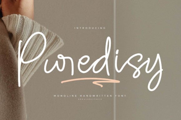 Puredisy Font Review for Modern Branding